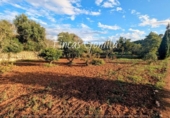 Terreny no urbanitzable en venda a la España, Alaior, ref.: TR339959 foto
