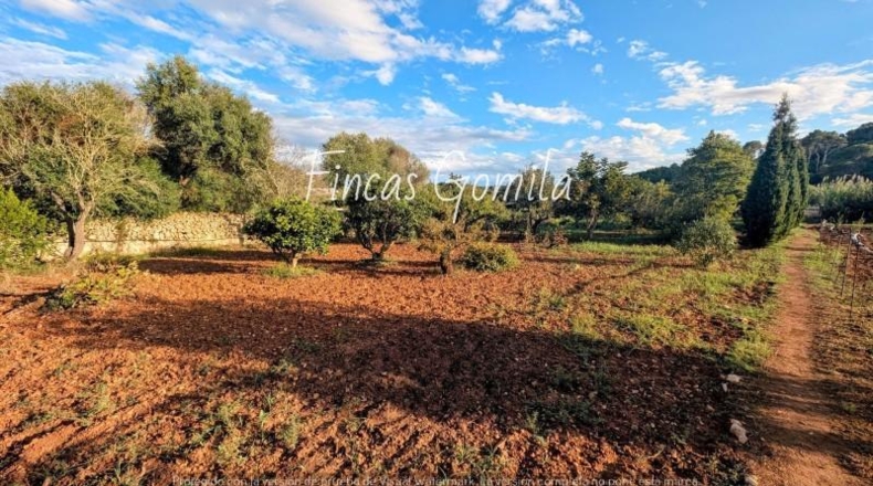 Islas Baleares - Alayor - 1800m2