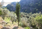 Casa de campo con terreno en venta en la España, Sóller, ref: TR312150 foto