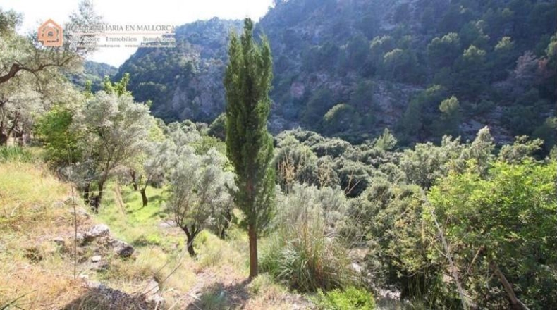 Islas Baleares - Sóller - 55m2