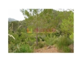 Terreno no urbanizable en venta en la España, Selva, ref: TR410833 foto