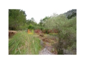 Terreno no urbanizable en venta en la España, Selva, ref: TR410833 foto