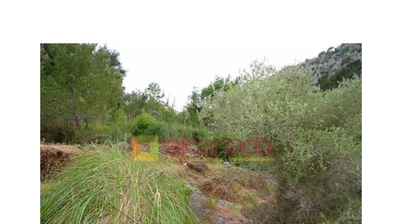 Balearic Islands - Selva - 38098m2