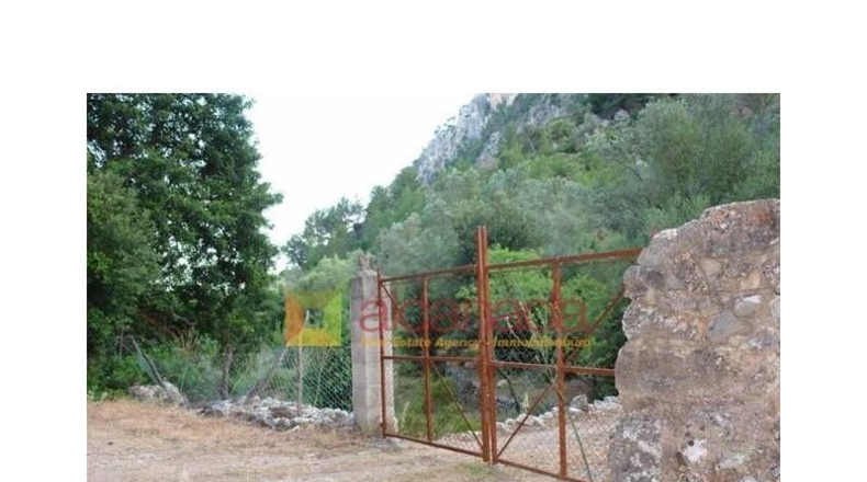 Balearic Islands - Selva - 38098m2