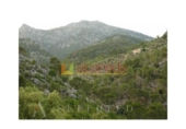 Terreno no urbanizable en venta en la España, Selva, ref: TR410833 foto