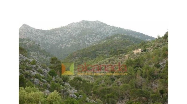 Balearic Islands - Selva - 38098m2