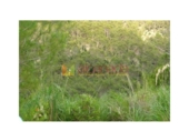 Terreno no urbanizable en venta en la España, Selva, ref: TR410833 foto