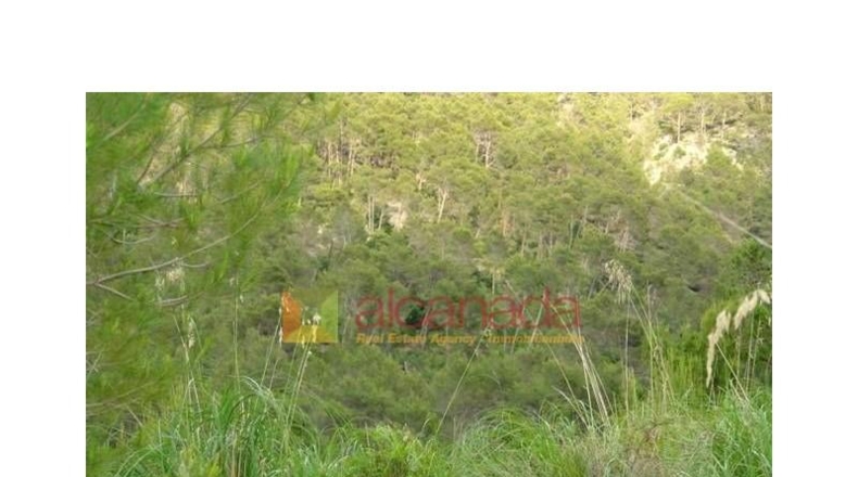 Balearic Islands - Selva - 38098m2
