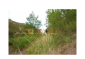 Terreno no urbanizable en venta en la España, Selva, ref: TR410833 foto