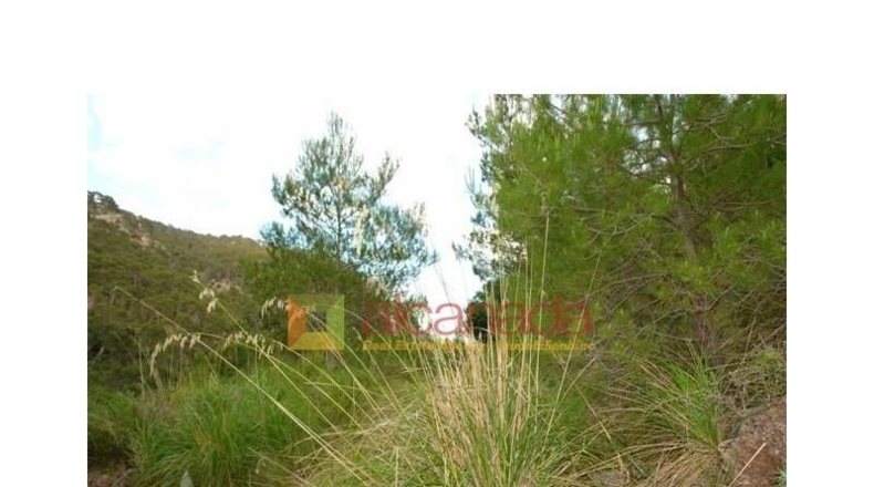 Balearic Islands - Selva - 38098m2