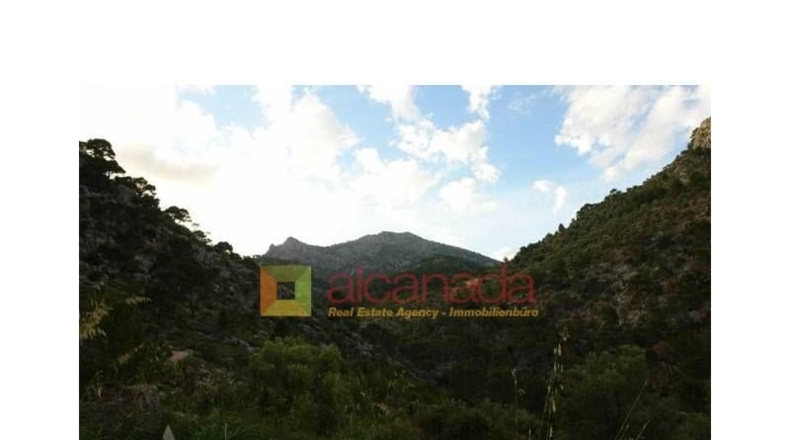 Balearic Islands - Selva - 38098m2