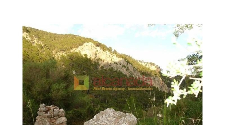 Balearic Islands - Selva - 38098m2