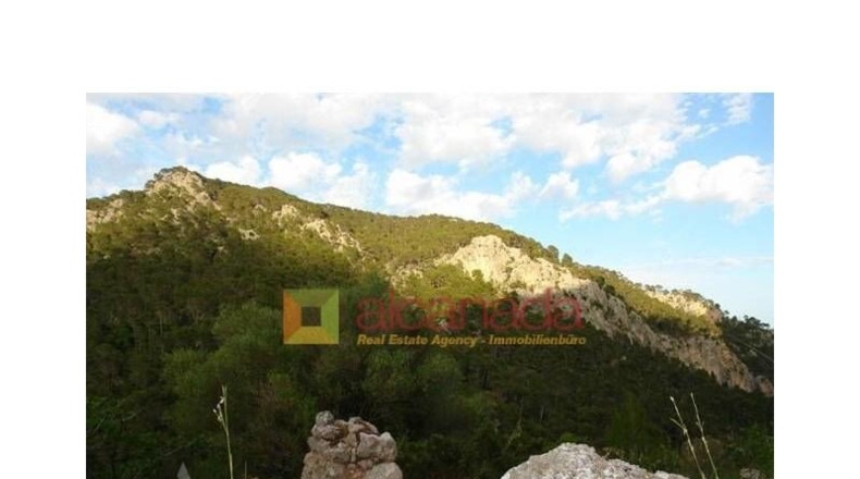 Balearic Islands - Selva - 38098m2