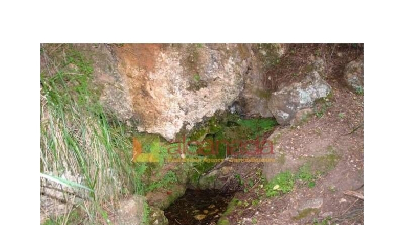 Balearic Islands - Selva - 38098m2