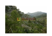 Terreno no urbanizable en venta en la España, Selva, ref: TR410833 foto