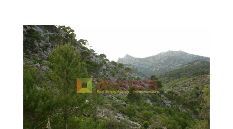 Balearic Islands - Selva - 38098m2