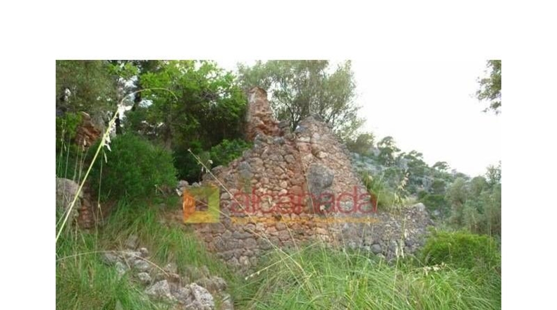 Balearic Islands - Selva - 38098m2