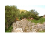 Terreno no urbanizable en venta en la España, Selva, ref: TR410833 foto