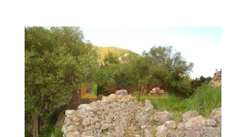 Balearic Islands - Selva - 38098m2