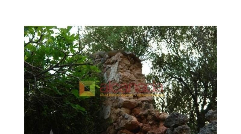 Balearic Islands - Selva - 38098m2