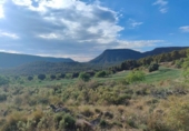 Xalet independent amb terreny en venda a la España, Vall-de-roures, ref.: TR146899 foto