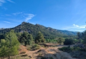 Xalet independent amb terreny en venda a la España, Vall-de-roures, ref.: TR146899 foto