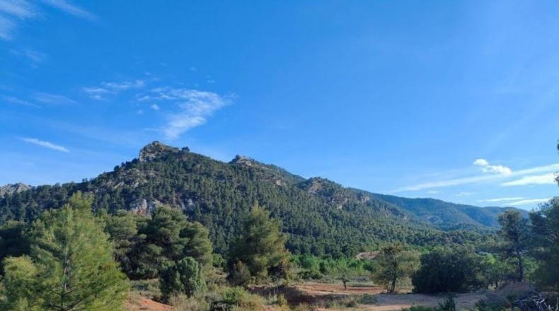 Teruel - Valderrobres - 68968m2