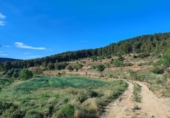 Xalet independent amb terreny en venda a la España, Vall-de-roures, ref.: TR146899 foto