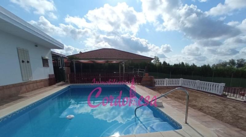 Córdoba - Córdoba - 1000m2