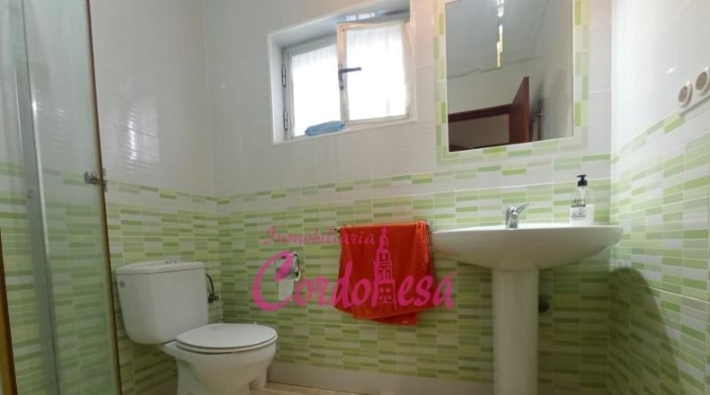 Córdoba - Córdoba - 1000m2