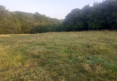 Detached villa with land for sale on España, Ramales de la Victoria, ref: TR139639 photo