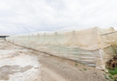 Terreno no urbanizable en venta en la España, Motril, ref: TR402914 foto