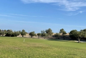 Monforte del Cid 834&nbsp;m²