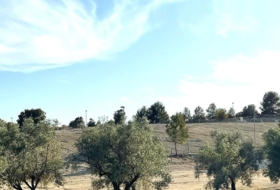 Monforte del Cid 834&nbsp;m²