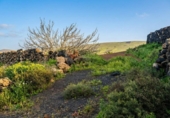 Suelo urbano en venta en la España, Teguise, ref: TR384444 foto
