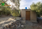 Chalet independiente con terreno en venta en la España, Talará, ref: TR389573 foto