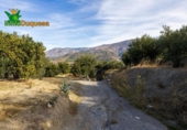 Chalet independiente con terreno en venta en la España, Talará, ref: TR389573 foto