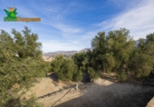 Chalet independiente con terreno en venta en la España, Talará, ref: TR389573 foto