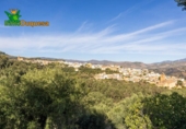 Chalet independiente con terreno en venta en la España, Talará, ref: TR389573 foto