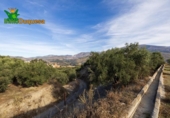 Chalet independiente con terreno en venta en la España, Talará, ref: TR389573 foto