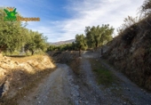 Chalet independiente con terreno en venta en la España, Talará, ref: TR389573 foto