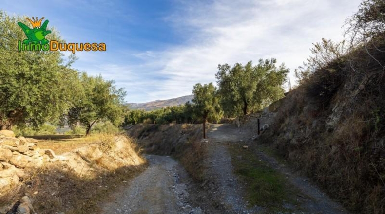 Granada - Падуль - 15000m2