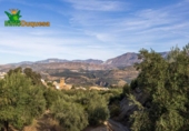 Chalet independiente con terreno en venta en la España, Talará, ref: TR389573 foto
