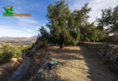 Chalet independiente con terreno en venta en la España, Talará, ref: TR389573 foto