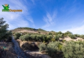 Chalet independiente con terreno en venta en la España, Talará, ref: TR389573 foto