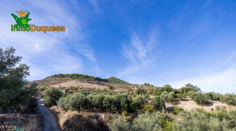 Granada - Падуль - 15000m2