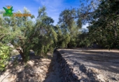 Chalet independiente con terreno en venta en la España, Talará, ref: TR389573 foto
