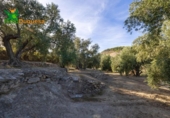 Chalet independiente con terreno en venta en la España, Talará, ref: TR389573 foto