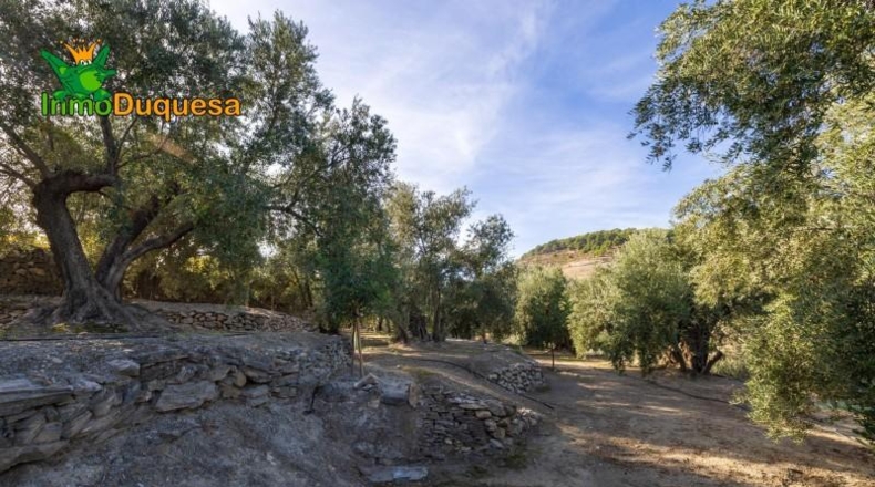 Granada - Падуль - 15000m2