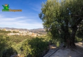 Chalet independiente con terreno en venta en la España, Talará, ref: TR389573 foto